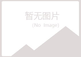 大田县靖易会计有限公司